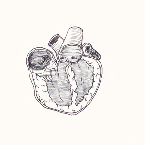   <sup>1</sup>