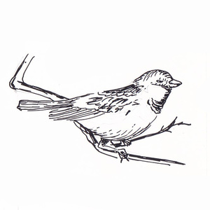 �������<sup>3 </sup> [��]