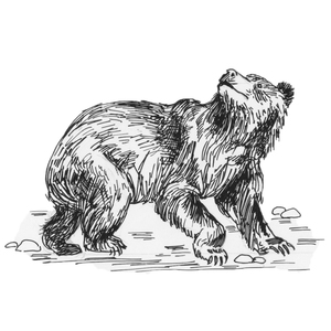 ��������� [��]
