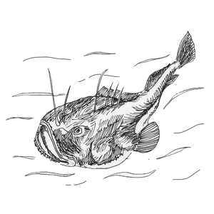 <sup>1,   </sup>
