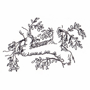  []<sup>1</sup>