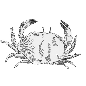 ������������ [��]