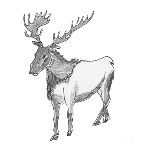 �����  [��]<sup>5</sup>