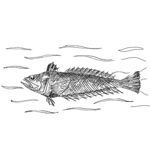  [] <sup>2</sup>
