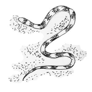 ������ [��]