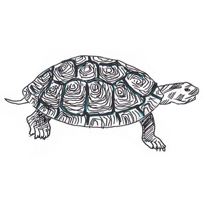 ���<sup>1 </sup>