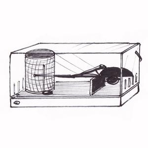 ����������� [��]
