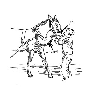 <sup>1</sup> [] 