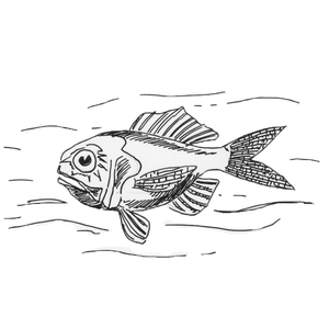 ������������� [��]
