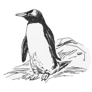 �����-�������� [��]