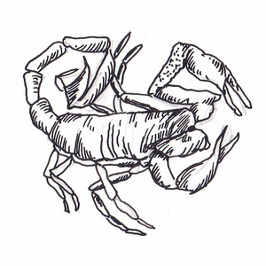 ������� <sup>1</sup>