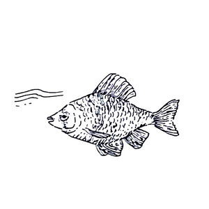 ��������� [��]