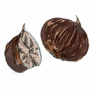 ��������