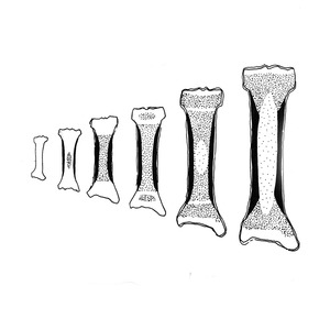 �����<sup>1 </sup>