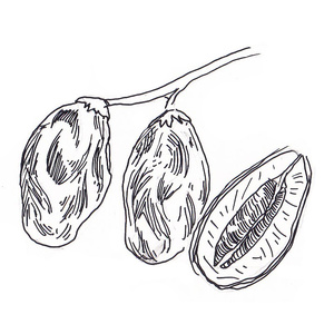 ��������� [��]