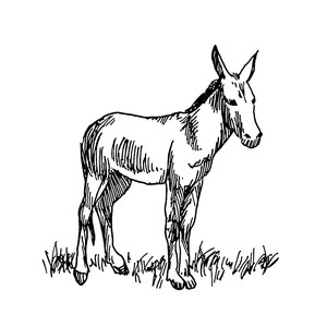 ������ [��]