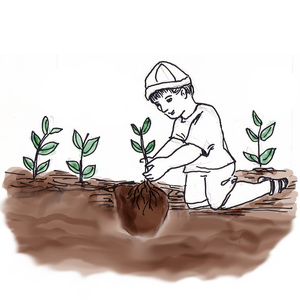 ������ [��]