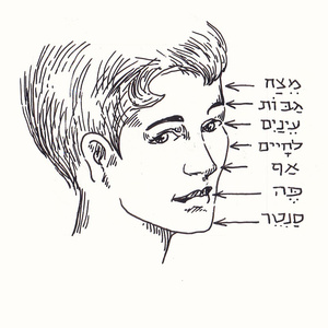 �������  [��]<sup>1</sup>